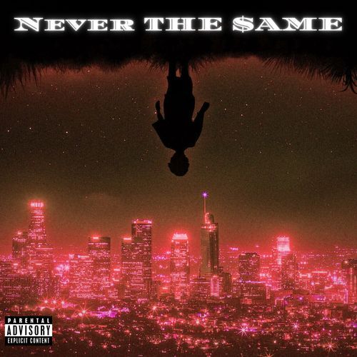 NEVER THE $AME Siddhesh Bage MP3 Download